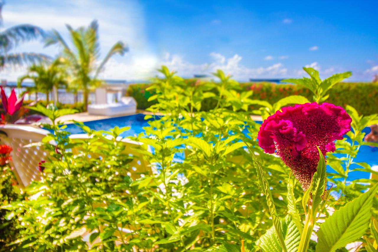 Hotel Aria Manzanillo Kartagena Zewnętrze zdjęcie