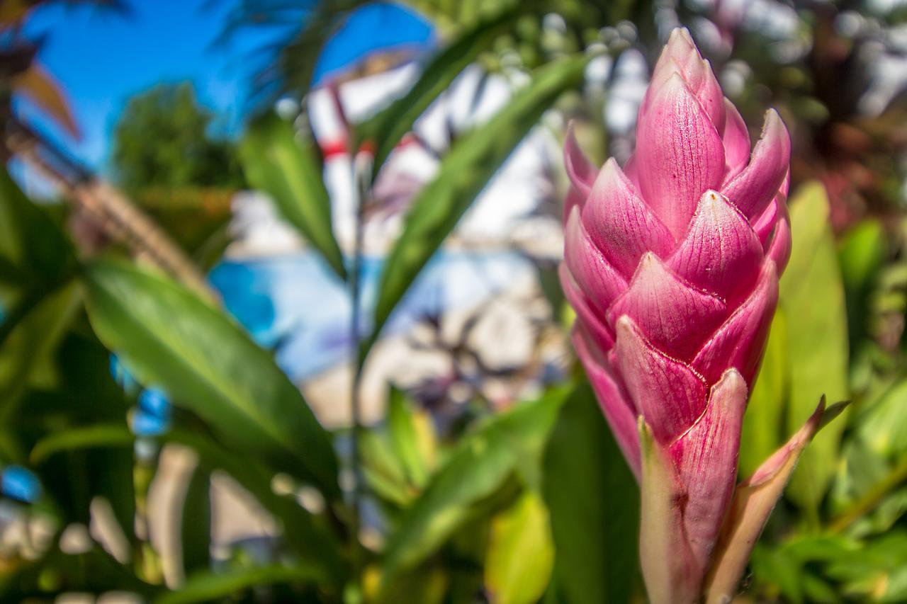 Hotel Aria Manzanillo Kartagena Zewnętrze zdjęcie